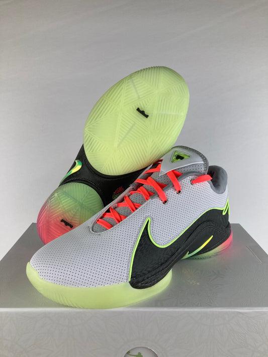 Nike LeBron 22 Crown Jewel Size 11 FZ1094 101