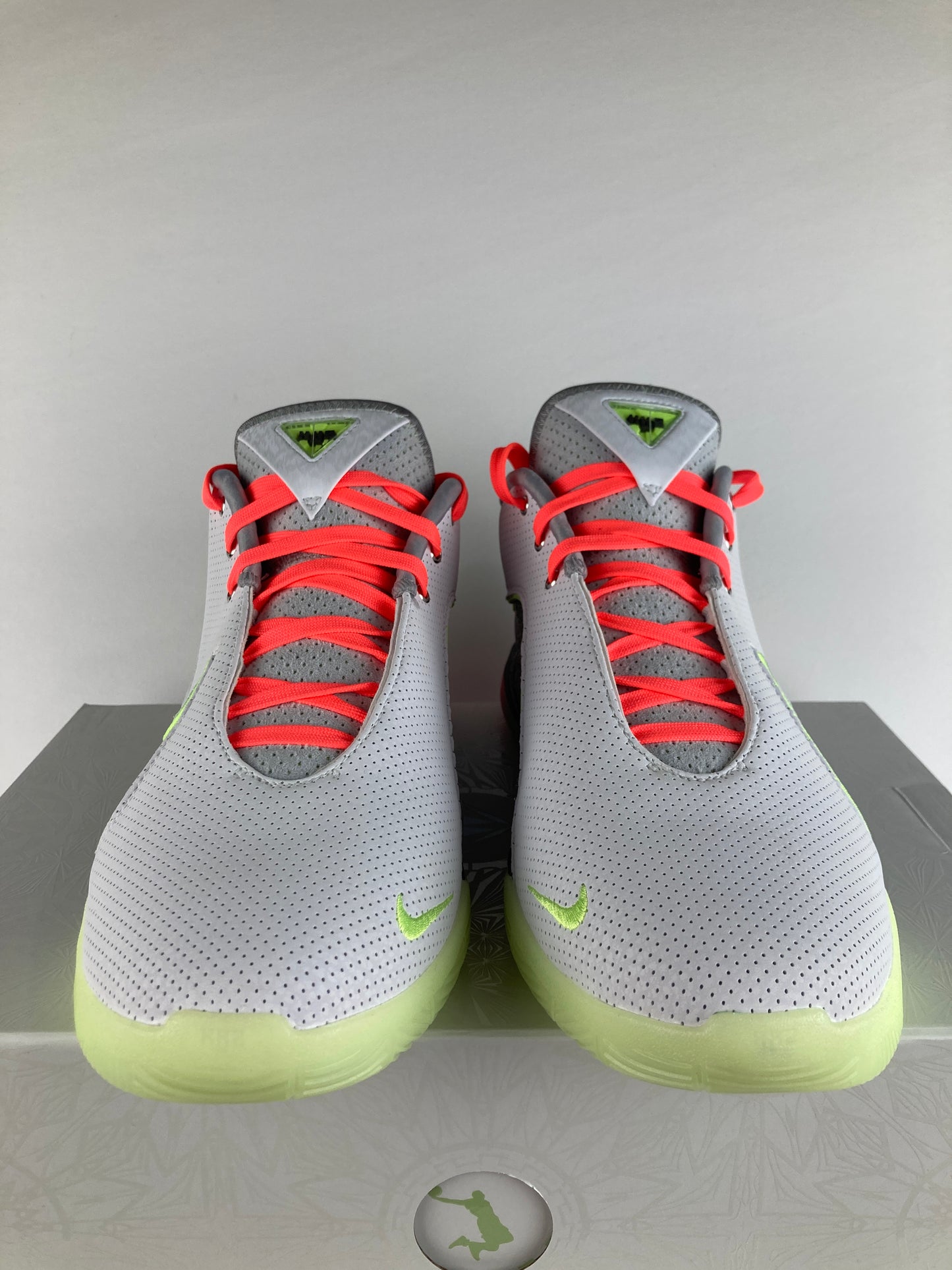Nike LeBron 22 Crown Jewel Size 11 FZ1094 101