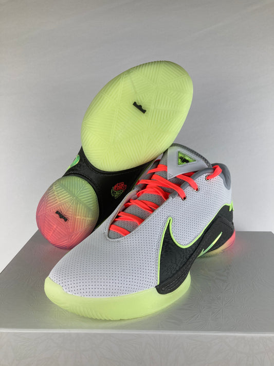 Nike LeBron 22 Crown Jewel Size 11.5 FZ1094 101