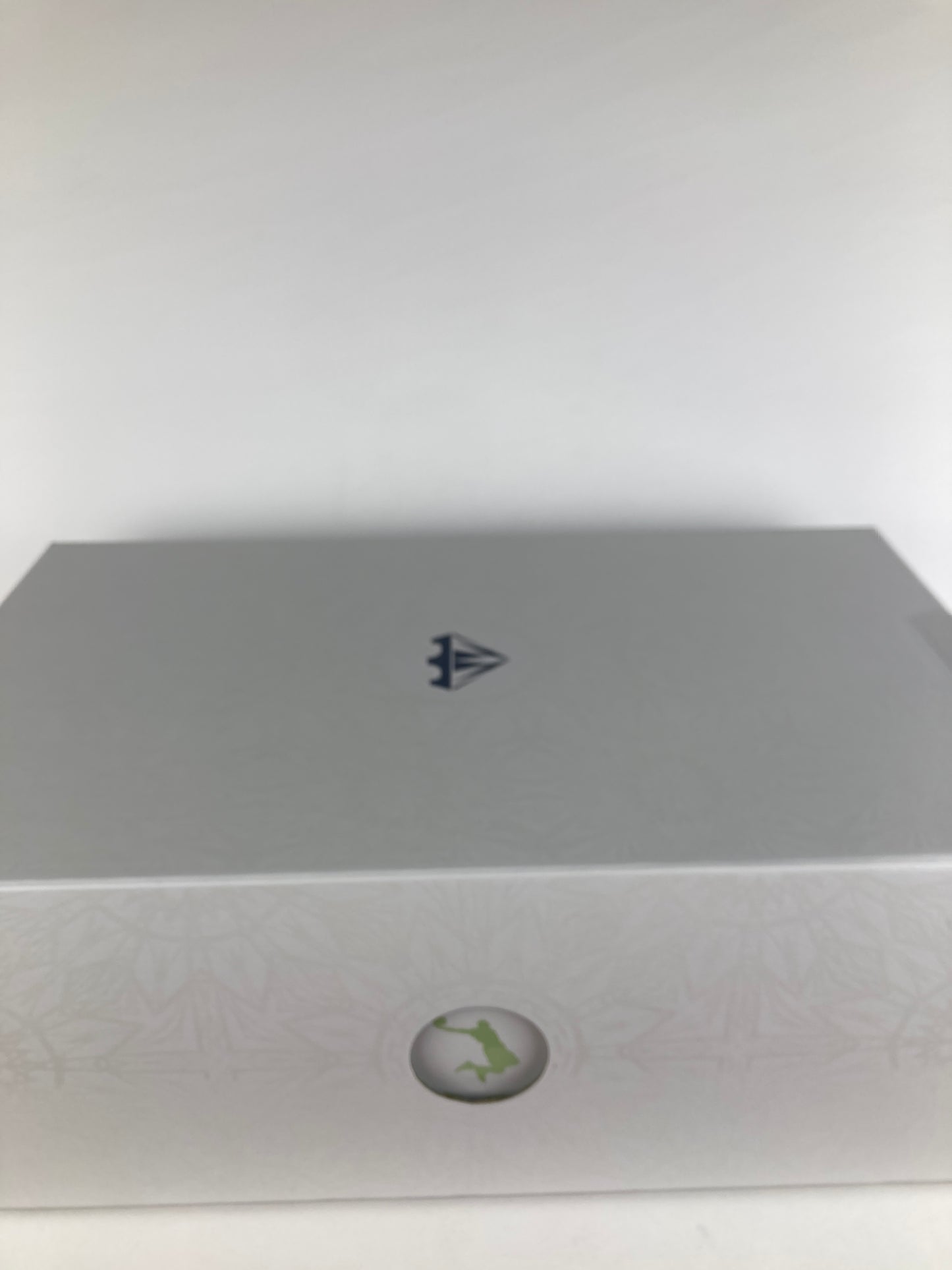 Nike LeBron 22 Crown Jewel Size 11.5 FZ1094 101