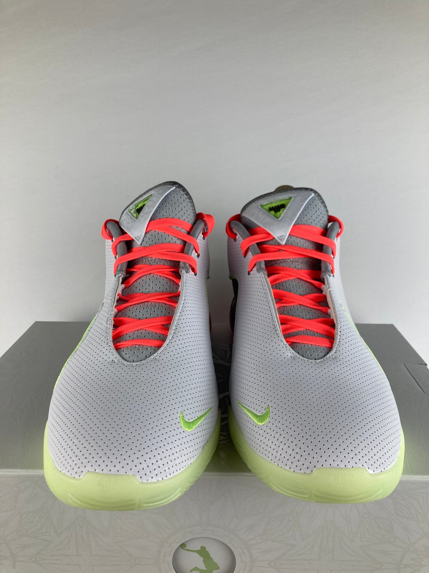Nike LeBron 22 Crown Jewel Size 12 FZ1094 101