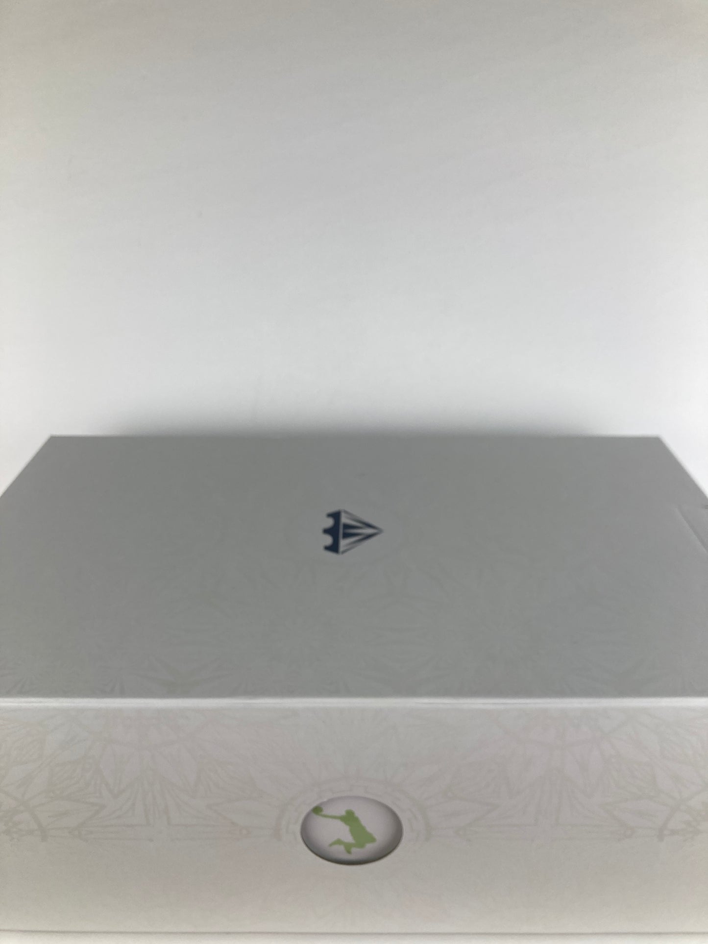 Nike LeBron 22 Crown Jewel Size 12 FZ1094 101