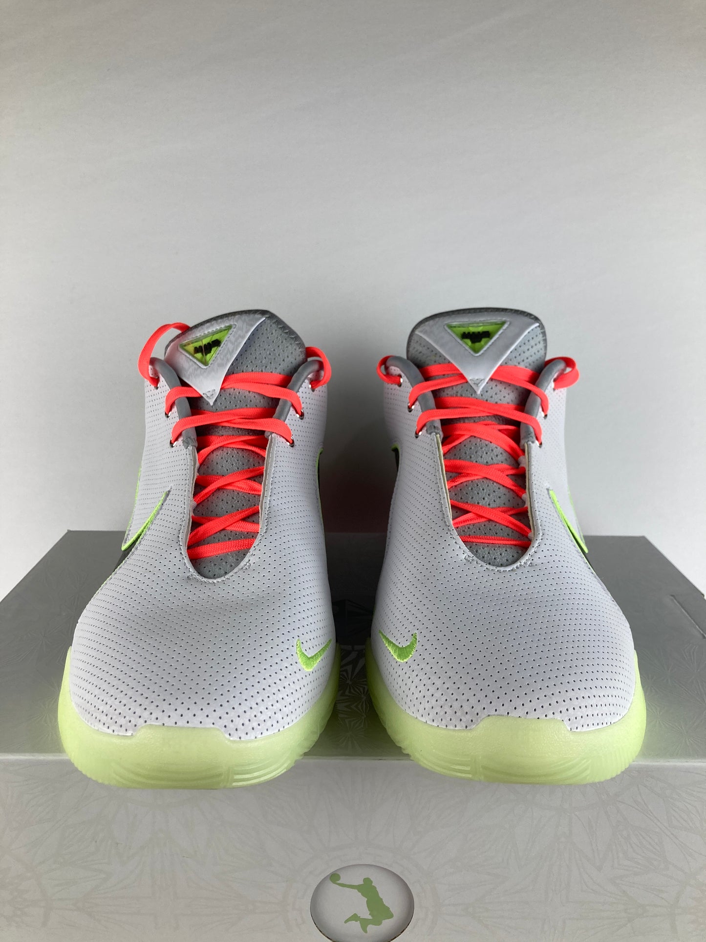 Nike LeBron 22 Crown Jewel Size 13 FZ1094 101