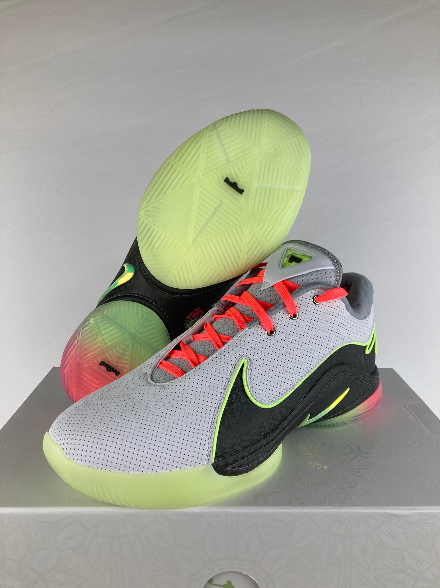 Nike LeBron 22 Crown Jewel Size 11 FZ1094 101